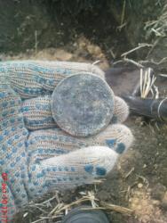 post-488-019794600 1286457737_thumb.jpg