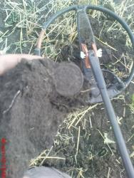 post-488-028621500 1286357600_thumb.jpg