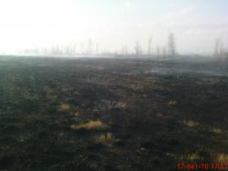 post-488-046920600 1287324750_thumb.jpg