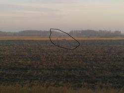 post-488-076882100 1286458887_thumb.jpg