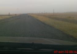 post-488-089128500 1286457505_thumb.jpg