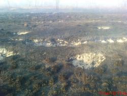 post-488-096019800 1287324743_thumb.jpg