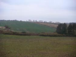 post-517-031026100 1288118327_thumb.jpg