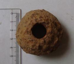 post-517-040626000 1286780434_thumb.jpg