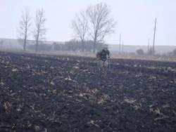 post-517-053609000 1288118335_thumb.jpg