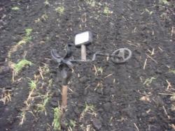 post-517-062542400 1288118311_thumb.jpg