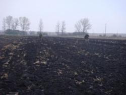 post-517-063073000 1288118346_thumb.jpg