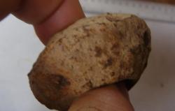 post-517-075995300 1286780566_thumb.jpg