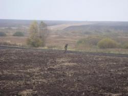 post-517-077943600 1288118190_thumb.jpg