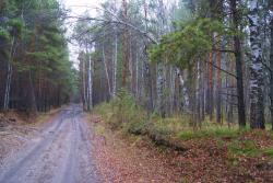 post-802-008408700 1287589257_thumb.jpg