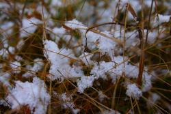 post-802-077222400 1287589206_thumb.jpg