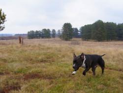 post-802-091183800 1287589306_thumb.jpg