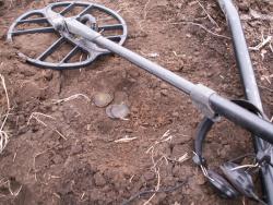 post-1697-0-07460500-1318163795_thumb.jp