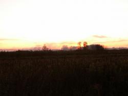 post-1697-0-38510300-1317564906_thumb.jp