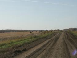 post-1697-0-50388600-1317564699_thumb.jp