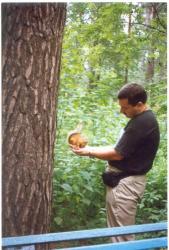 post-2102-0-33449600-1317833403_thumb.jp