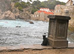 post-4341-0-53886600-1317726619_thumb.jp