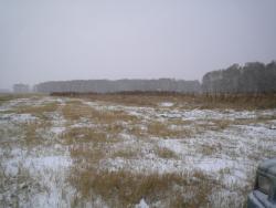 post-4632-0-32985500-1320059438_thumb.jp