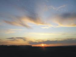 post-5029-0-00763200-1318691572_thumb.jp