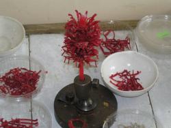 post-5029-0-10662100-1319042752_thumb.jp