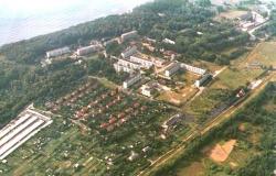 post-5029-0-11905200-1319034592_thumb.jp