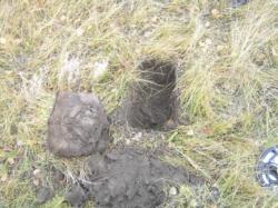 post-5029-0-28556400-1318346710_thumb.jp