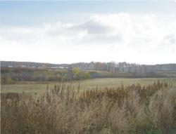 post-5029-0-30752800-1317827049_thumb.jp