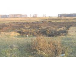 post-5029-0-34613800-1318347037_thumb.jp