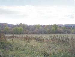 post-5029-0-38131300-1317827040_thumb.jp