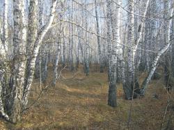 post-5029-0-45849500-1318690827_thumb.jp