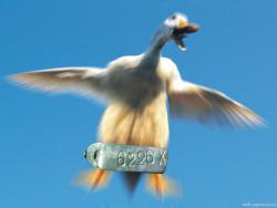 post-5029-0-54750300-1319898915_thumb.jp