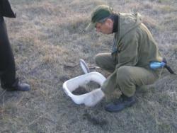 post-5029-0-55629200-1318691511_thumb.jp