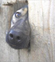 post-5029-0-73451400-1318174835_thumb.jp