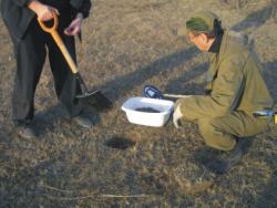 post-5029-0-77088700-1318691499_thumb.jp