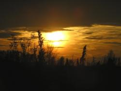 post-5029-0-81460700-1318000959_thumb.jp