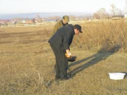 post-5029-0-84573200-1318691466_thumb.jp