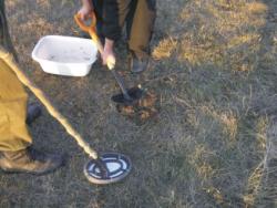 post-5029-0-89569300-1318691487_thumb.jp