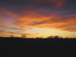 post-5029-0-99213300-1318516306_thumb.jp