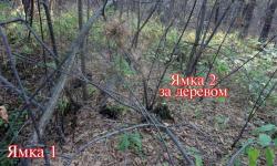 post-5575-0-95060400-1317835662_thumb.jp