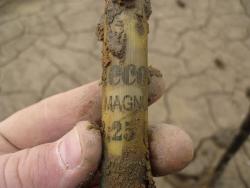 post-5781-0-22339300-1319286536_thumb.jp