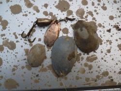 post-5781-0-85702600-1319286511_thumb.jp