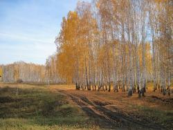 post-6245-0-27251500-1317749156_thumb.jp