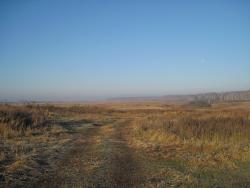 post-6245-0-91392800-1319130515_thumb.jp