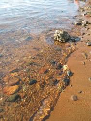 post-6245-0-97643800-1319130665_thumb.jp