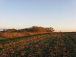 post-6726-0-61453700-1319300472_thumb.jp