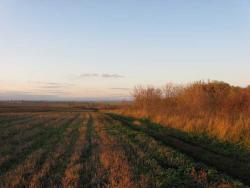 post-6726-0-93195200-1319300433_thumb.jp