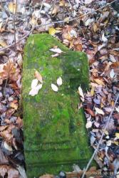 post-7025-0-27202100-1319553554_thumb.jp