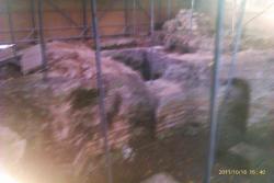 post-7025-0-29540800-1319534327_thumb.jp