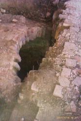 post-7025-0-38296900-1319533886_thumb.jp