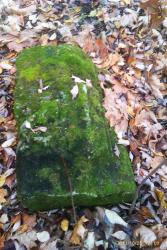 post-7025-0-90420300-1319553492_thumb.jp